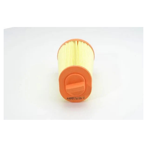 Bosch Air Filter 1987429401