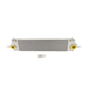 Fits Nissan Qashqai J10 1.5 DCI 2.0 DC 2006-2013 Intercooler 14461BB30A