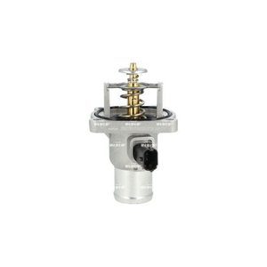 NRF Coolant Thermostat 725033