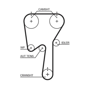 Gates Timing Belt PowerGrip 5509XS