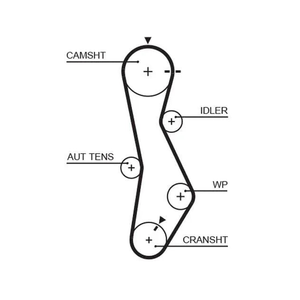 Gates Timing Belt PowerGrip 5579XS