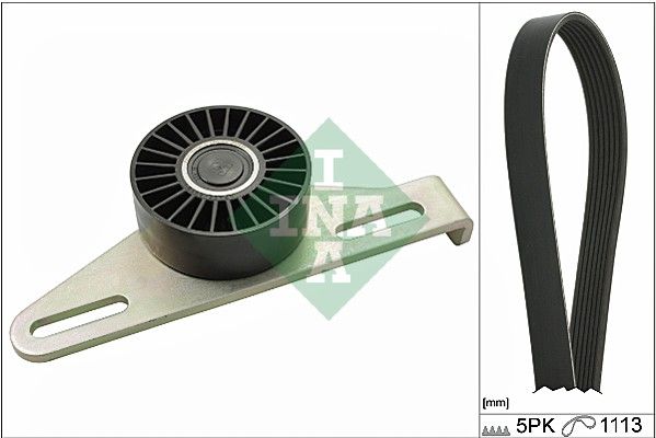 INA Drive Belt Kit 529014510 - image 2
