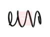 Apec Coil Spring ACS1806 thumbnail