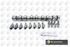 BGA Camshaft Kit CS1454FK thumbnail