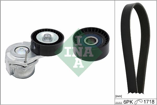 INA Drive Belt Kit 529031210 - image 2