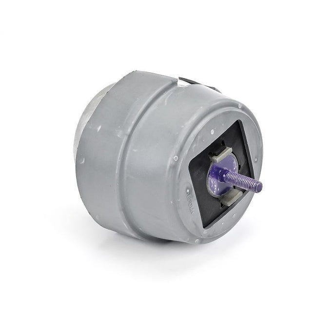 Delphi Engine Mount TEM234 - image 5