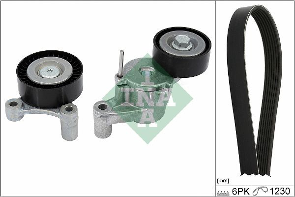 INA Drive Belt Kit 529054810 - image 2