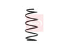 Apec Coil Spring ACS1620 thumbnail