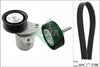 INA Drive Belt Kit 529021910 thumbnail
