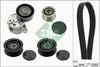 INA Drive Belt Kit 529011520 thumbnail