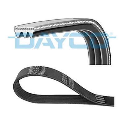Dayco V-ribbed Belt 3PK576EE