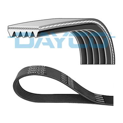 Dayco V-ribbed Belt 5PK1236EE