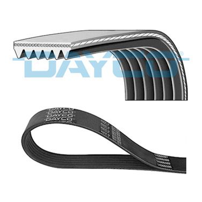 Dayco V-ribbed Belt 6PK1410S