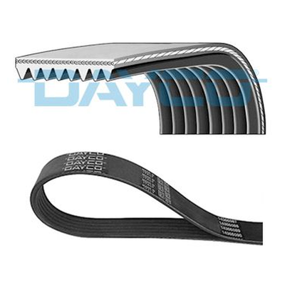 Dayco V-ribbed Belt 8PK2512