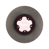 Apec Brake Disc DSK2976 thumbnail