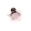 Apec Starter Motor ASM1742 thumbnail