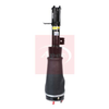 Apec Air Strut AAS1049 thumbnail