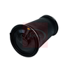 Apec Air Spring AAS1029 thumbnail