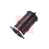 Apec Air Spring AAS1051 thumbnail