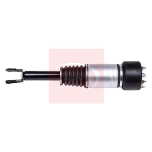 Apec Air Strut AAS1041