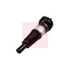Apec Air Strut AAS1119 thumbnail