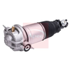 Apec Air Strut AAS1189 thumbnail