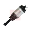 Apec Air Strut AAS1037 thumbnail