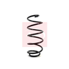 Apec Coil Spring ACS1009 thumbnail