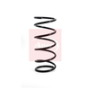 Apec Coil Spring ACS1011 thumbnail
