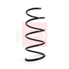 Apec Coil Spring ACS1014 thumbnail