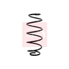 Apec Coil Spring ACS1022 thumbnail