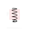 Apec Coil Spring ACS1024 thumbnail