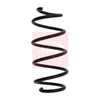 Apec Coil Spring ACS1019 thumbnail
