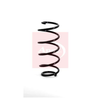 Apec Coil Spring ACS1021 thumbnail