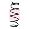 Apec Coil Spring ACS1059 thumbnail