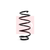Apec Coil Spring ACS1062 thumbnail
