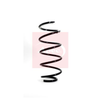 Apec Coil Spring ACS1067 thumbnail