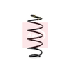 Apec Coil Spring ACS1068 thumbnail