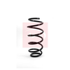 Apec Coil Spring ACS1066 thumbnail