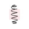 Apec Coil Spring ACS1071 thumbnail