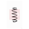 Apec Coil Spring ACS1073 thumbnail