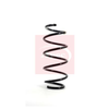 Apec Coil Spring ACS1074 thumbnail