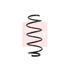 Apec Coil Spring ACS1076 thumbnail