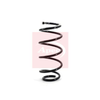 Apec Coil Spring ACS1075 thumbnail