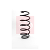 Apec Coil Spring ACS1081 thumbnail
