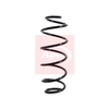 Apec Coil Spring ACS1084 thumbnail