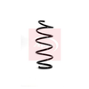 Apec Coil Spring ACS1096 thumbnail