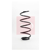 Apec Coil Spring ACS1097 thumbnail