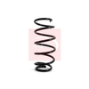 Apec Coil Spring ACS1105 thumbnail