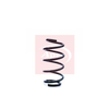 Apec Coil Spring ACS1166 thumbnail
